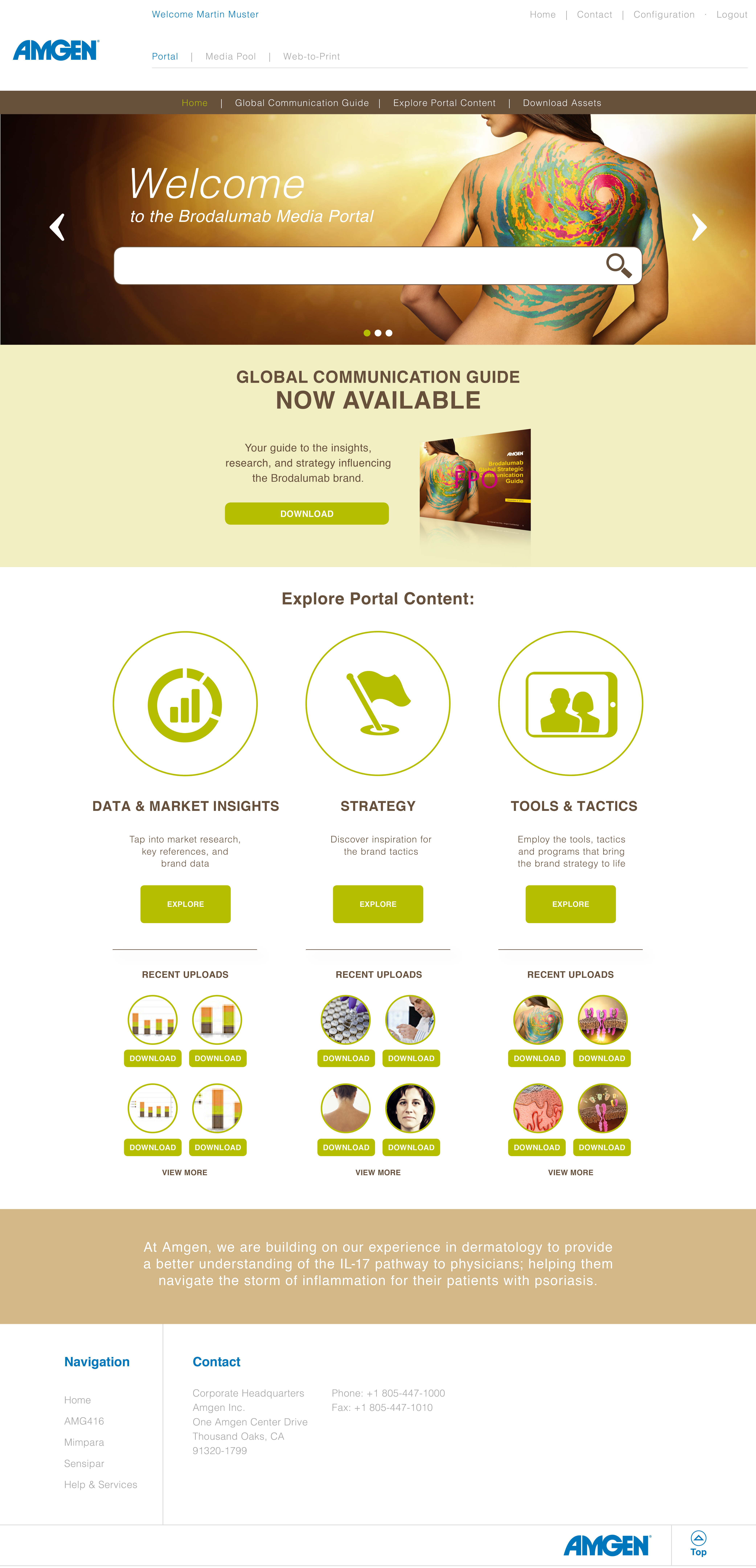 Portal optimization — brand system application